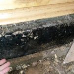 Гнилые лаги не держат пол