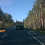 лес, дорога, грузовик с бревнами