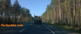 forest, road, truck with logs